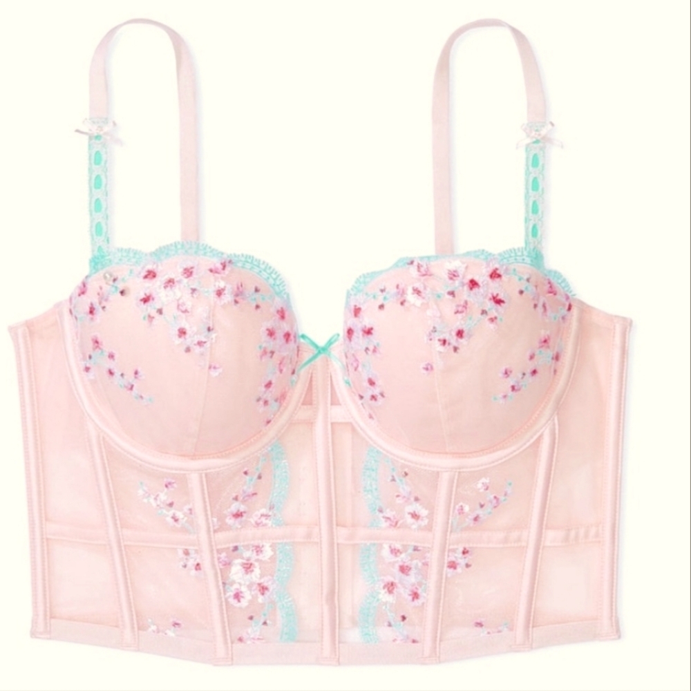 NWOT Victoria's Secret Dream Angels Cherry Blossom Embroidered Bustier & Bottom